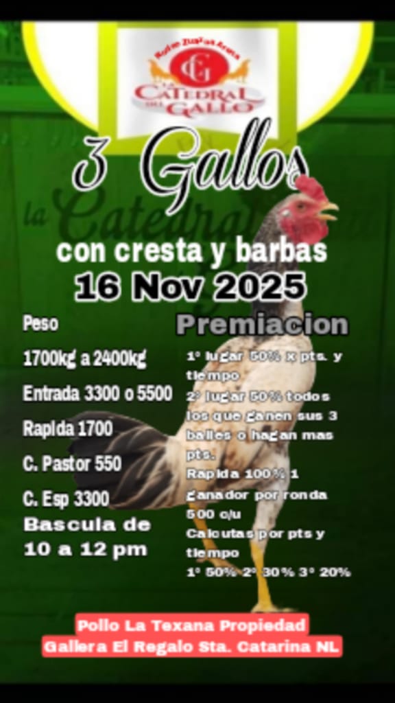 3 Gallos con Cresta y Barbas