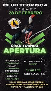 GRAN TORNEO DE APERTURA