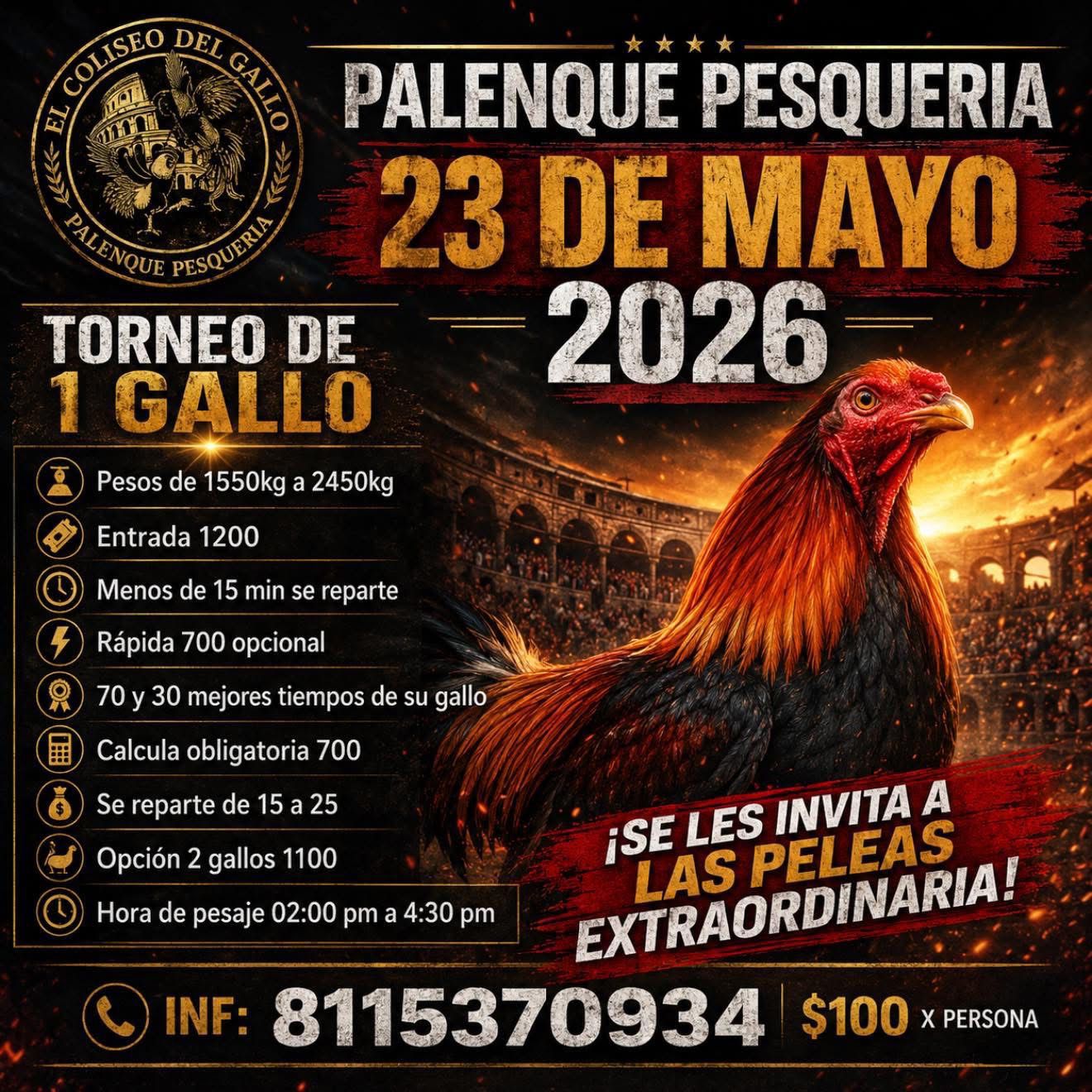 TORNEO DE 1 GALLO  COLISEO DEL GALLO