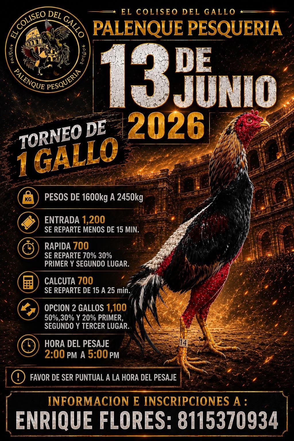 Torneo de 1 gallo pesqueria 